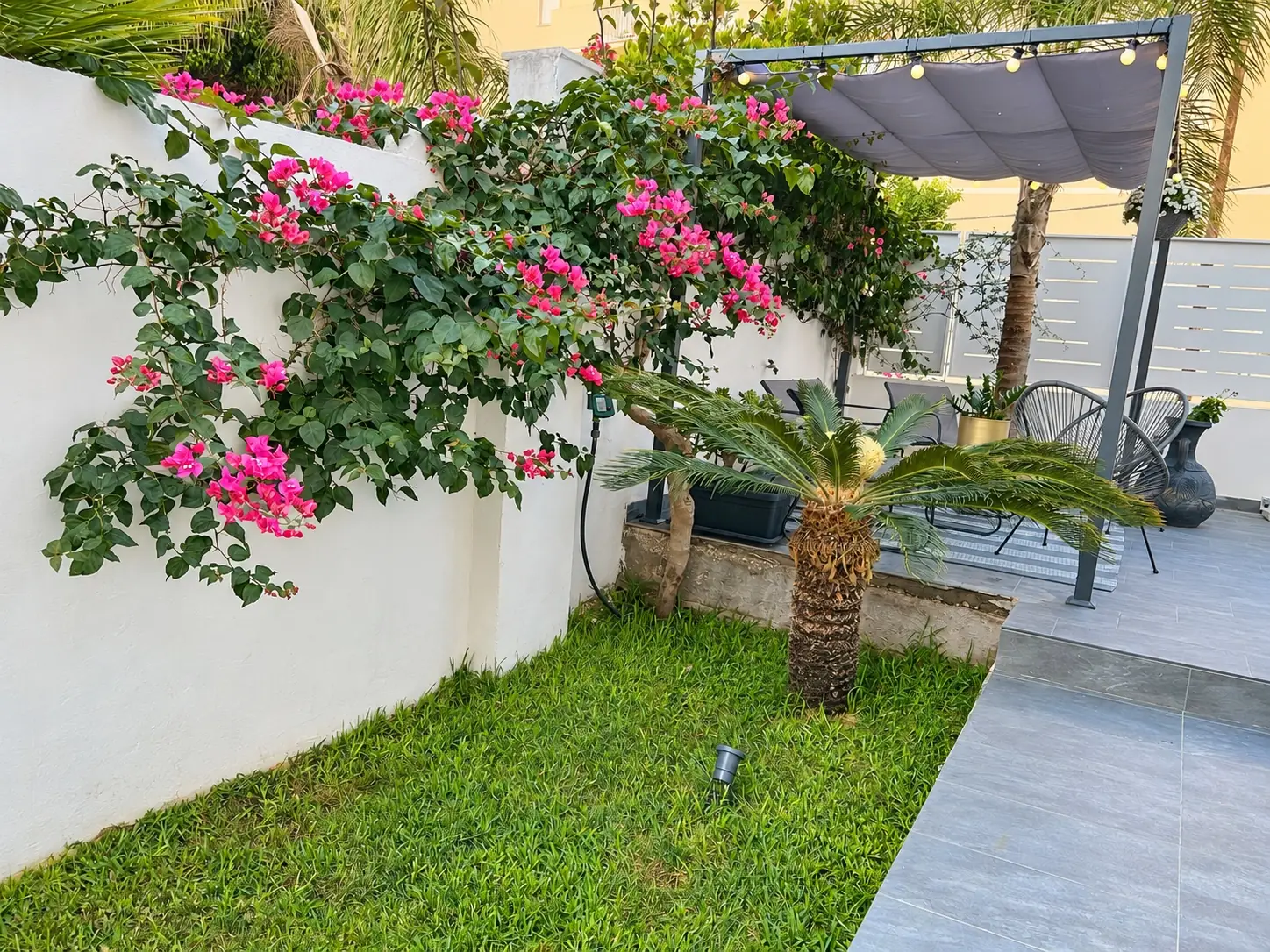 Il giardino della villetta di giorno, con le buganvillee fucsia sul muro bianco, il prato e il pergolato